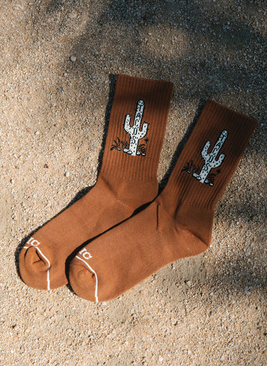 Cactus Socks