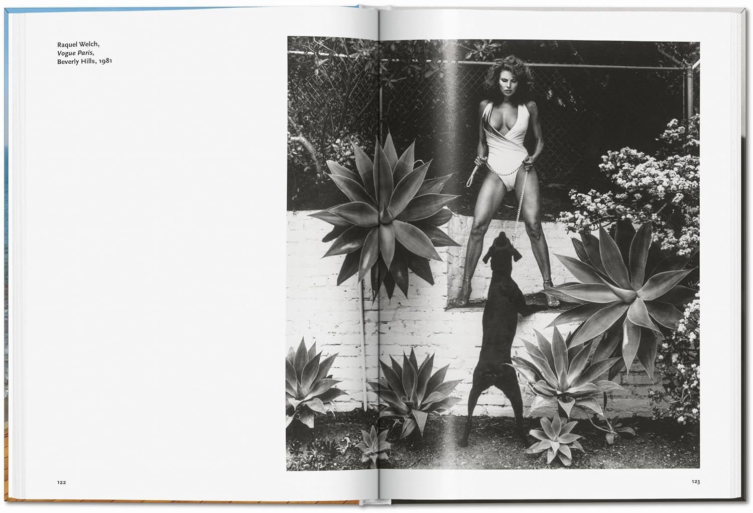 Helmut Newton