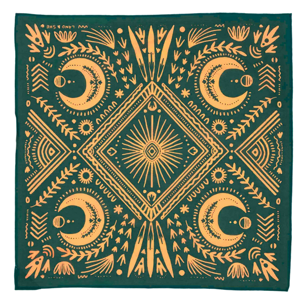 Stay Steady Bandana